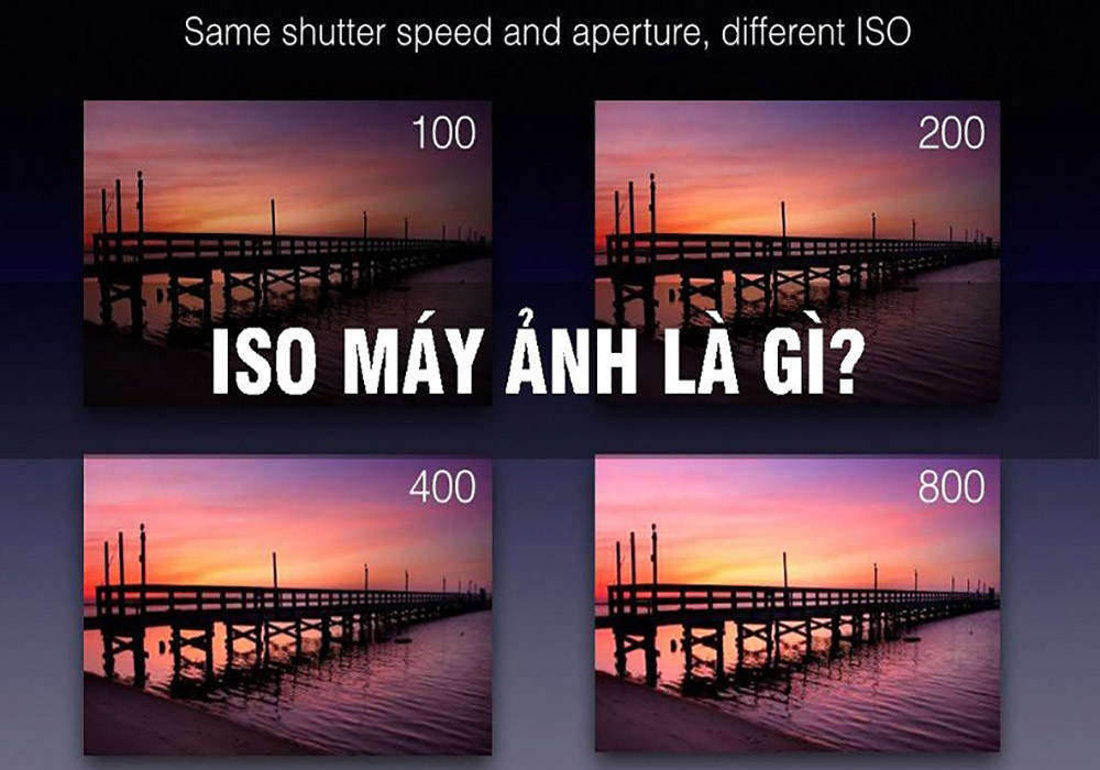 ISO máy ảnh là gì?