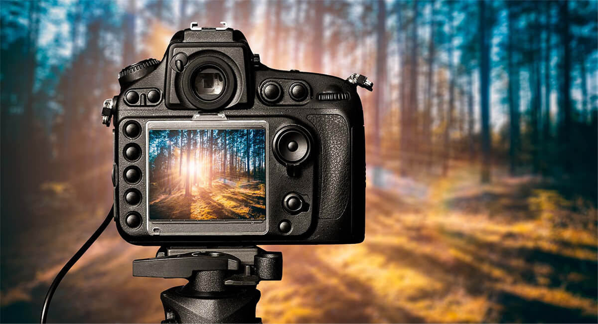 Cùng tìm hiểu cách sử dụng màu sắc cơ bản trong nhiếp ảnh