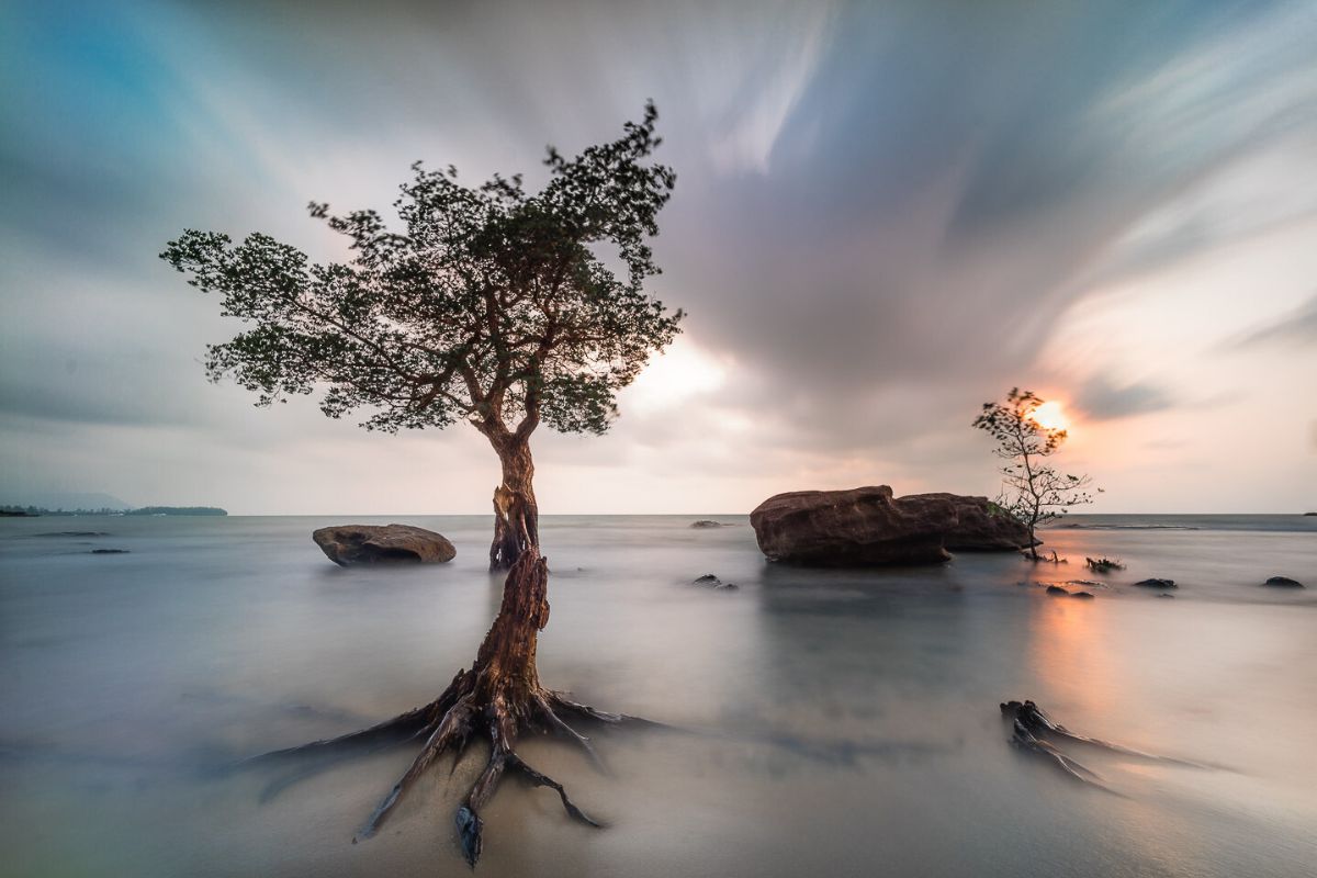 Đây là các yếu tố có ảnh hưởng đến tiền cảnh Đây là các yếu tố có ảnh hưởng đến tiền cảnh