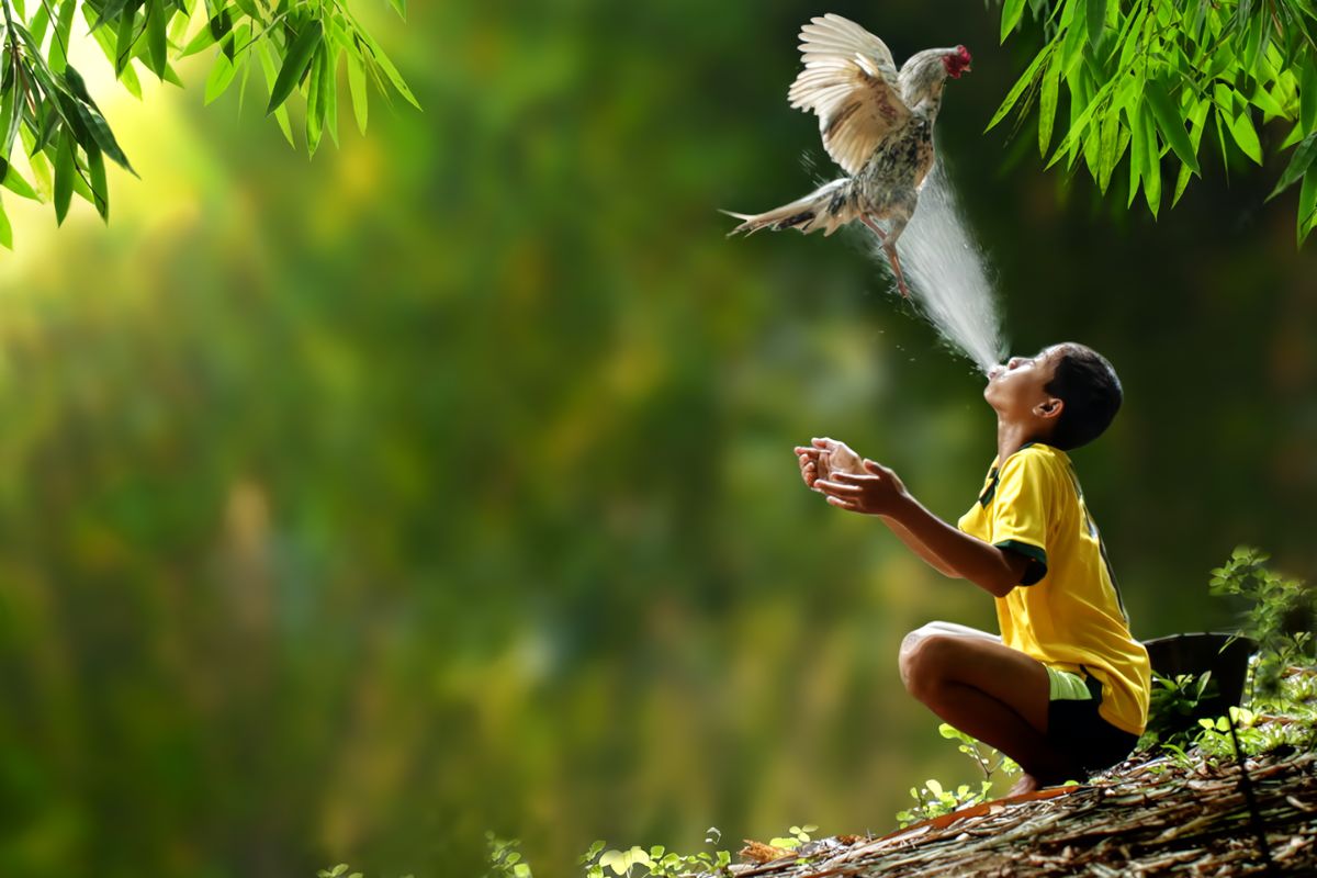 Có một số phong cách nhiếp ảnh được photography ưa chuộng Có một số phong cách nhiếp ảnh được photography ưa chuộng