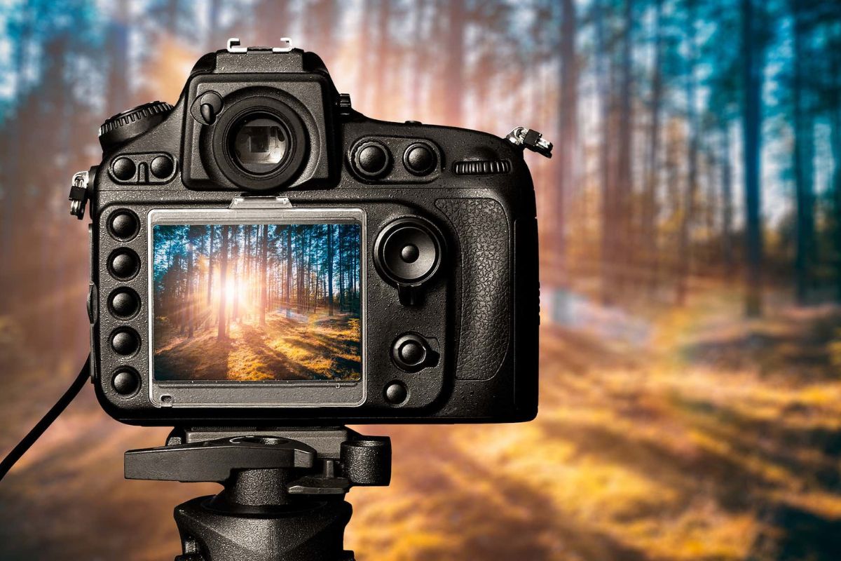 Photography cũng có thể được hiểu là việc sử dụng máy ảnh để ghi lại những hình ảnh và tạo ra những bức tranh. Photography cũng có thể được hiểu là việc sử dụng máy ảnh để ghi lại những hình ảnh và tạo ra những bức tranh.