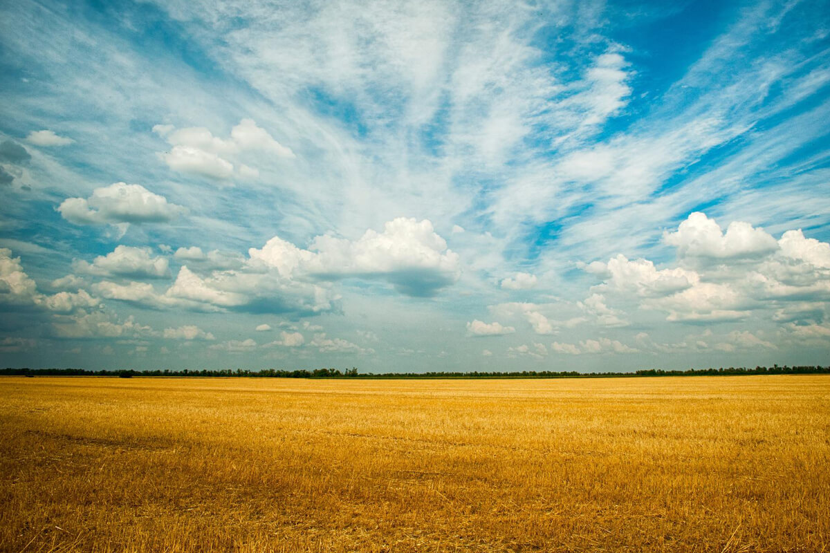 Tận dụng chất lượng ảnh cao và linh hoạt trong xử lý sau chụp