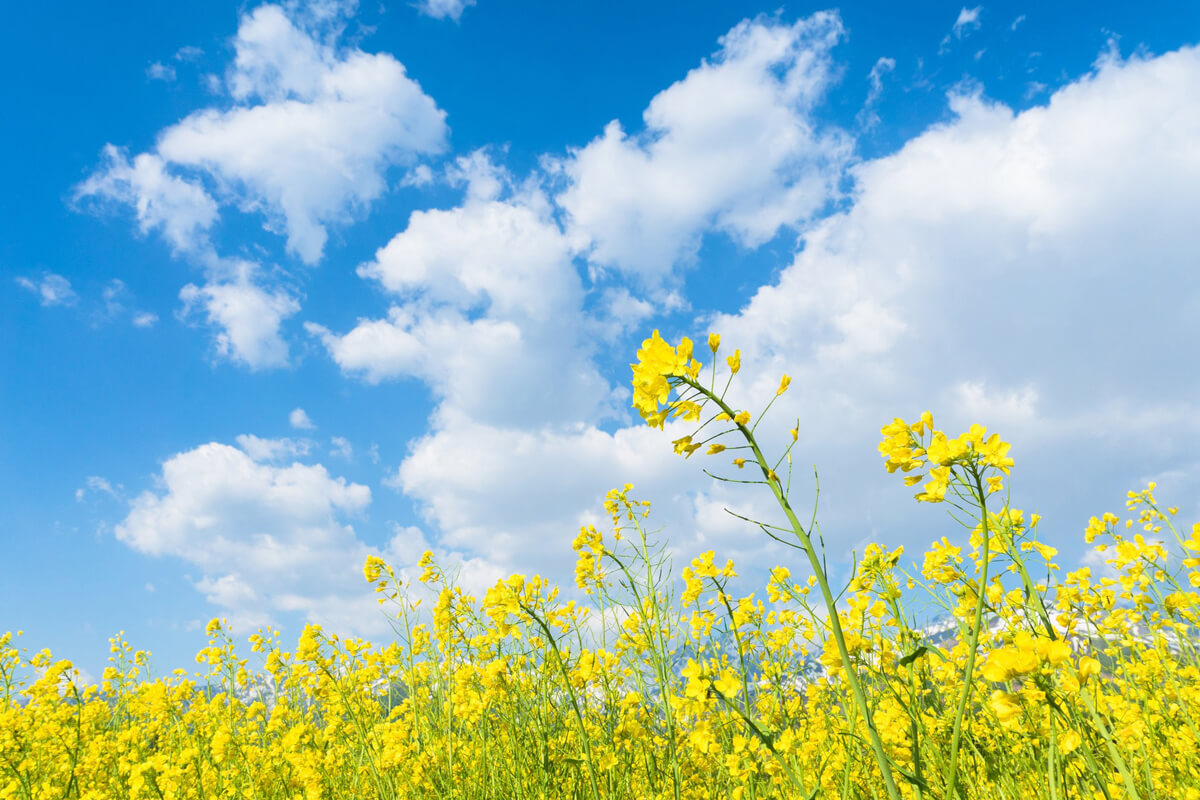 Bắt gọn khoảnh khắc sáng tạo với tốc độ màn trập thấp