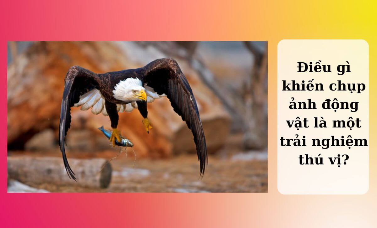 Trải nghiệm cảm giác chụp ảnh mới mẻ Trải nghiệm cảm giác chụp ảnh mới mẻ