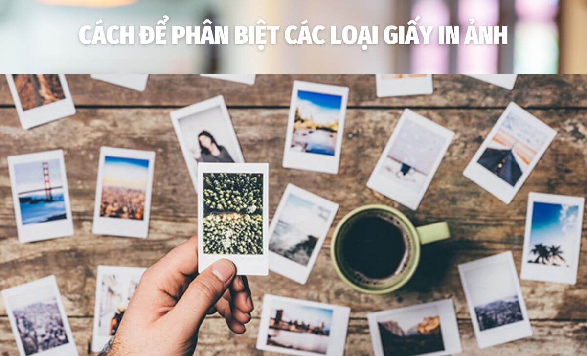 Phân biệt các loại giấy để in ảnh Phân biệt các loại giấy để in ảnh