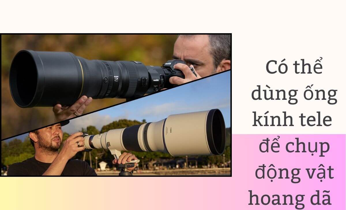 Có thể dùng ống kính tele để chụp động vật hoang dã Có thể dùng ống kính tele để chụp động vật hoang dã