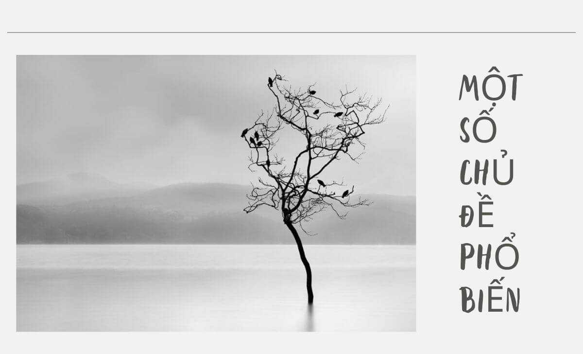 Các chủ đề phổ biến trong nhiếp ảnh nghệ thuật