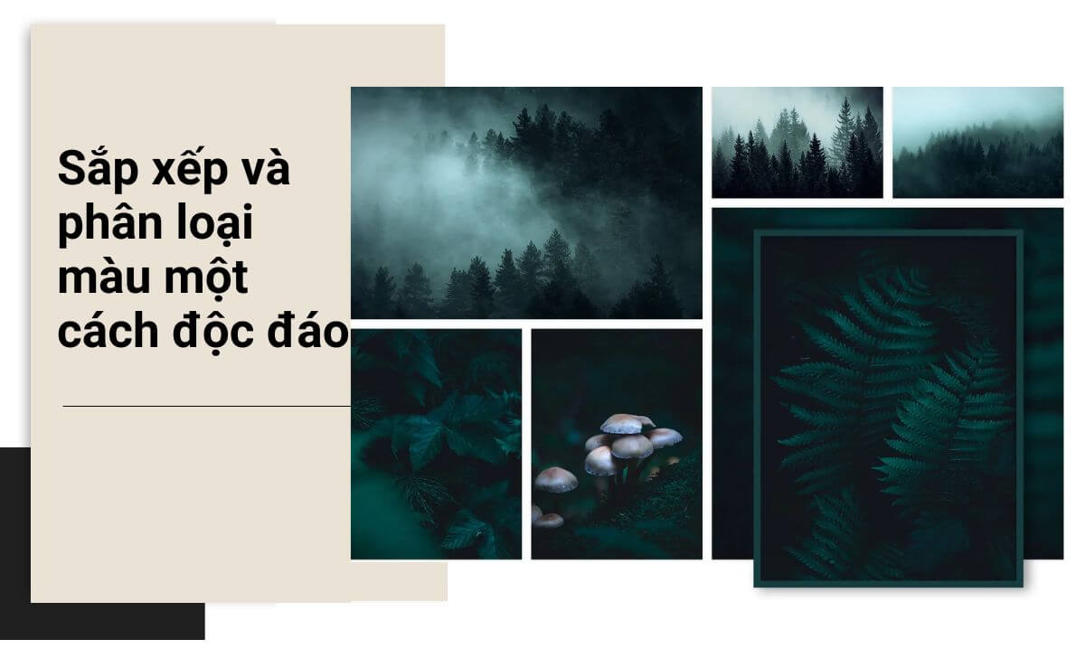 Việc linh hoạt trong việc xử lý màu giúp tạo điểm nhấn cho bức ảnh