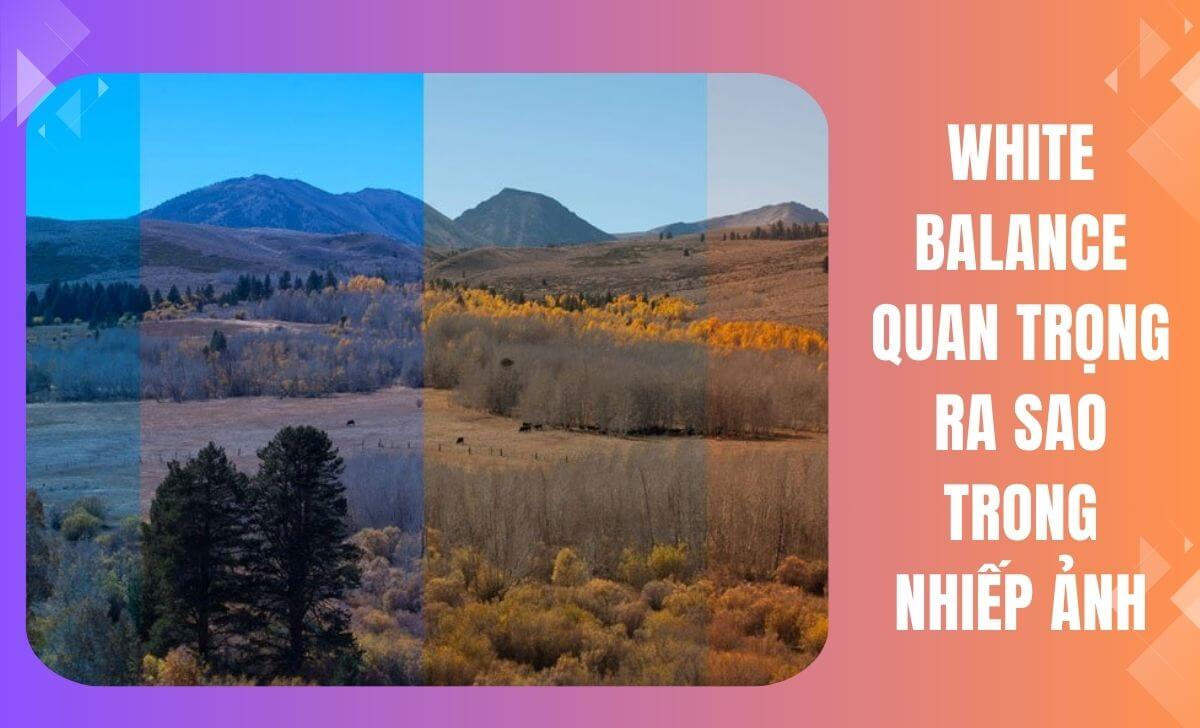 White Balance là gì? White Balance quan trọng ra sao trong nhiếp ảnh
