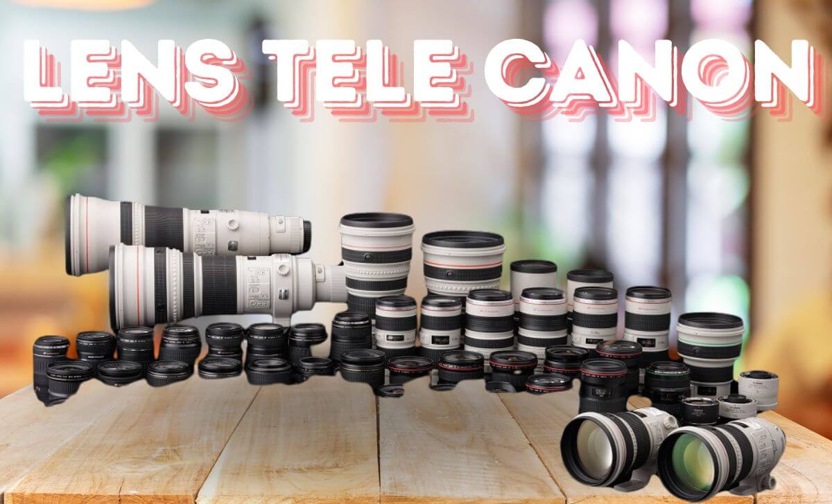 Khám phá danh sách 8 lens tele được yêu thích từ Canon Khám phá danh sách 8 lens tele được yêu thích từ Canon