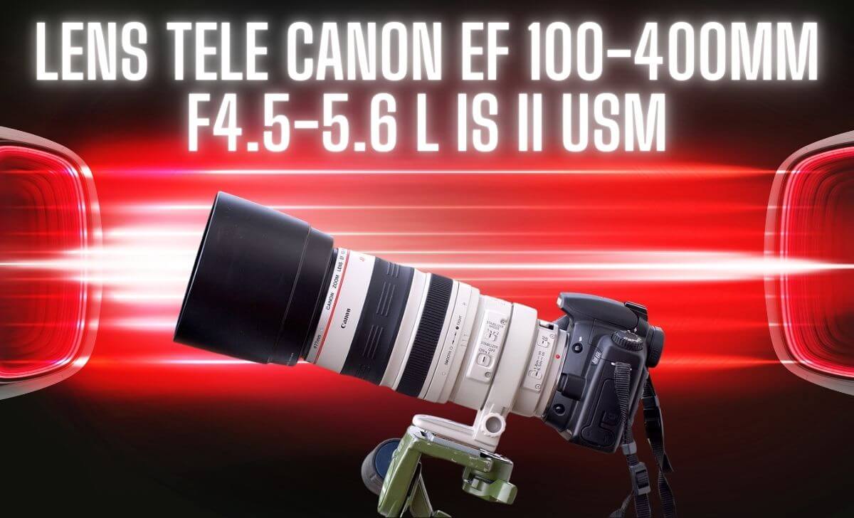 Lựa chọn linh hoạt khác dành cho những người chuyên nghiệp Lựa chọn linh hoạt khác dành cho những người chuyên nghiệp