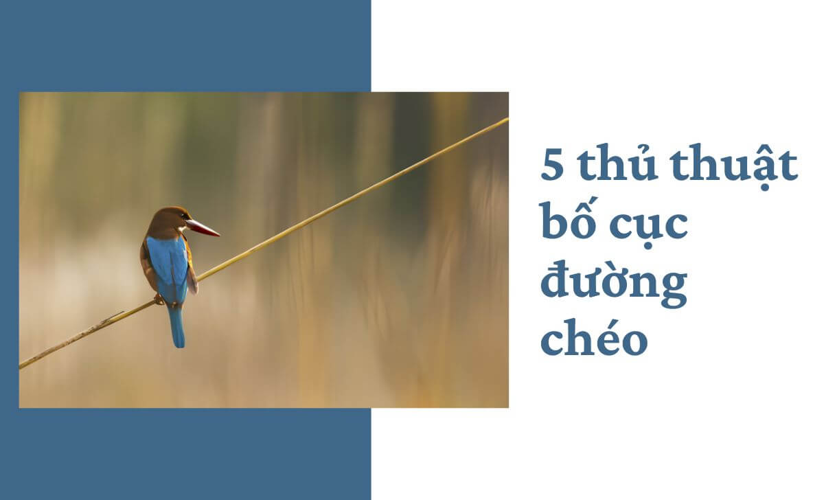 Tìm hiểu các thủ thuật bố cục đường chéo dễ áp dụng