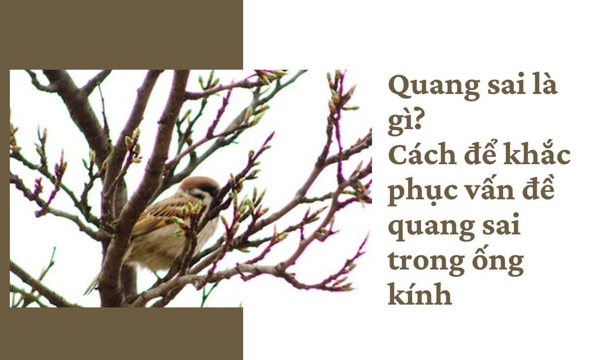 Quang sai là gì? Cánh để khắc phục vấn đề quang sai trong ống kính
