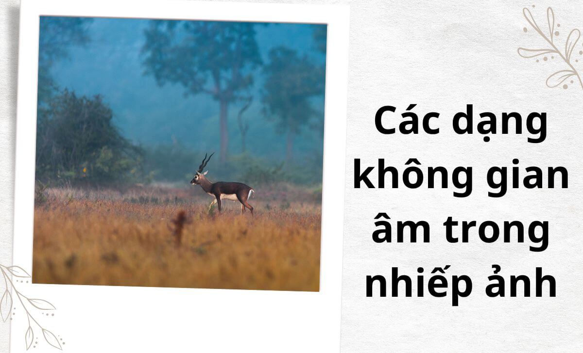 Khám phá các dạng không gian âm