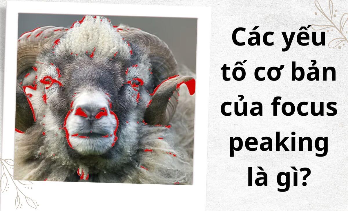 Những yếu tố cơ bản của focus peaking