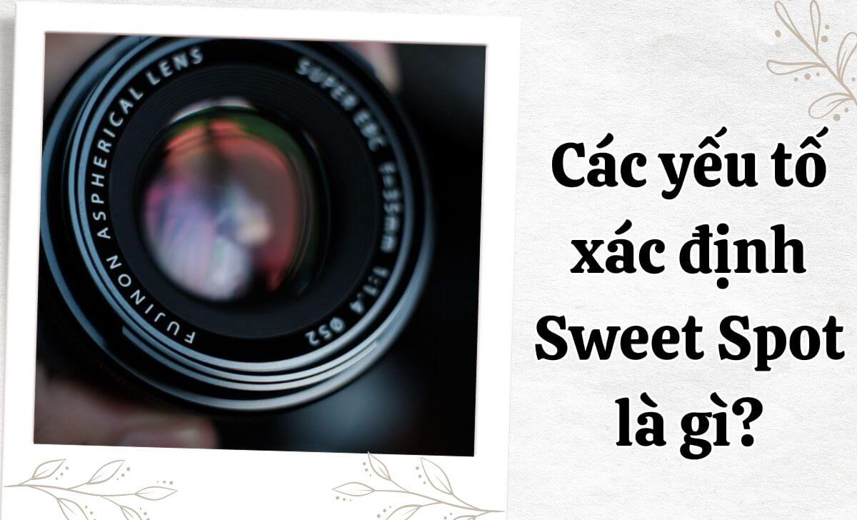 Những yếu tố xác định Sweet Spot Những yếu tố xác định Sweet Spot