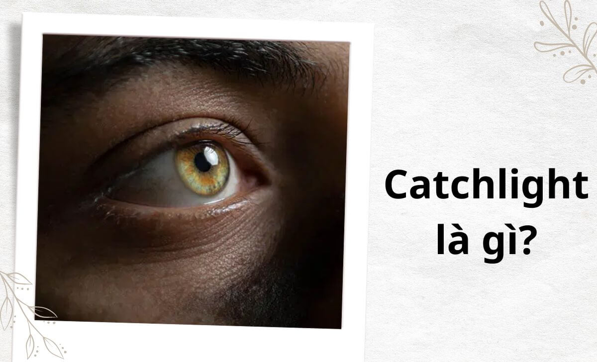 Về cơ bản, catchlight đề cập đến điểm sáng phản chiếu trong mắt của đối tượng