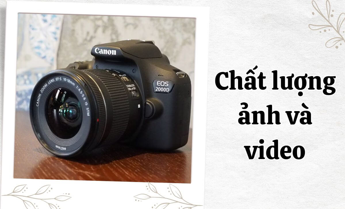 Với cảm biến APS-C 24.1MP, chiếc máy mang lại những bức ảnh có độ chi tiết cao