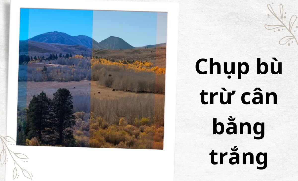 Mục đích của chụp bù trừ cân bằng trắng là tạo ra một bộ ảnh với nhiều phiên bản của cảnh đã chụp