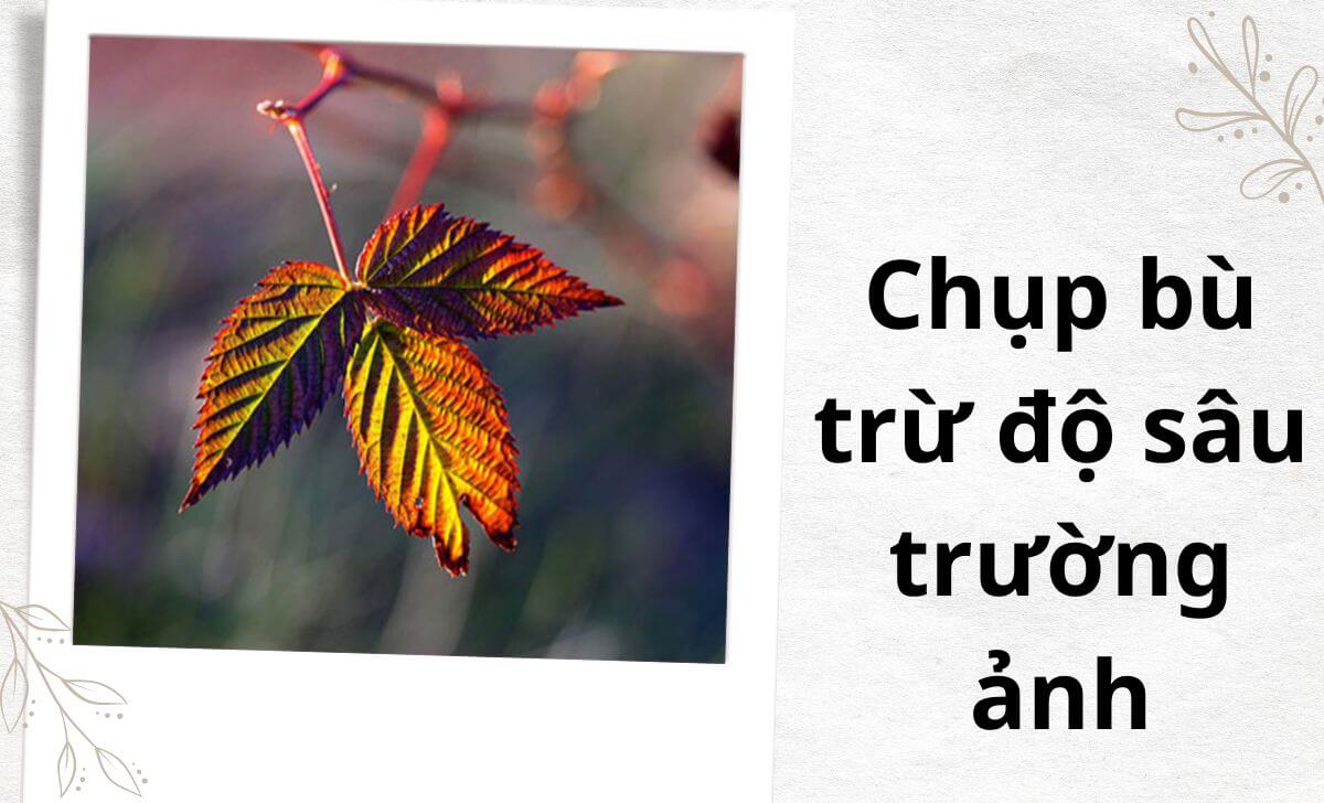 Phương pháp bù trừ độ sâu trường ảnh thường được thực hiện bằng cách điều chỉnh khẩu độ của ống kính