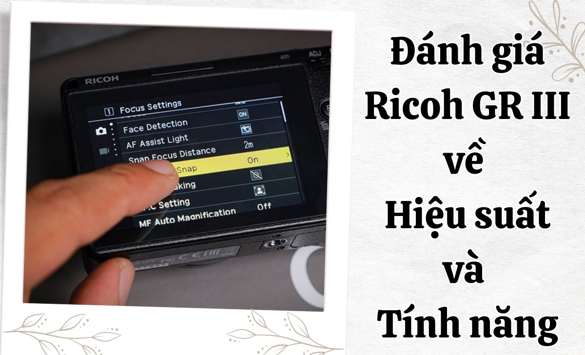 Cảm biến 24MP mang lại độ chi tiết tuyệt vời cho cả ảnh JPEG và Raw