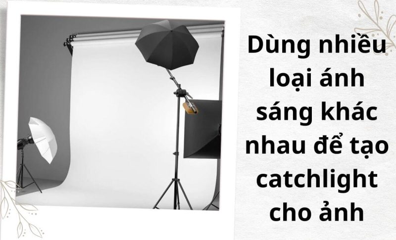 Catchlight là gì? Cách tạo Catchlight cho ảnh hiệu quả - Máy Ảnh Xách ...