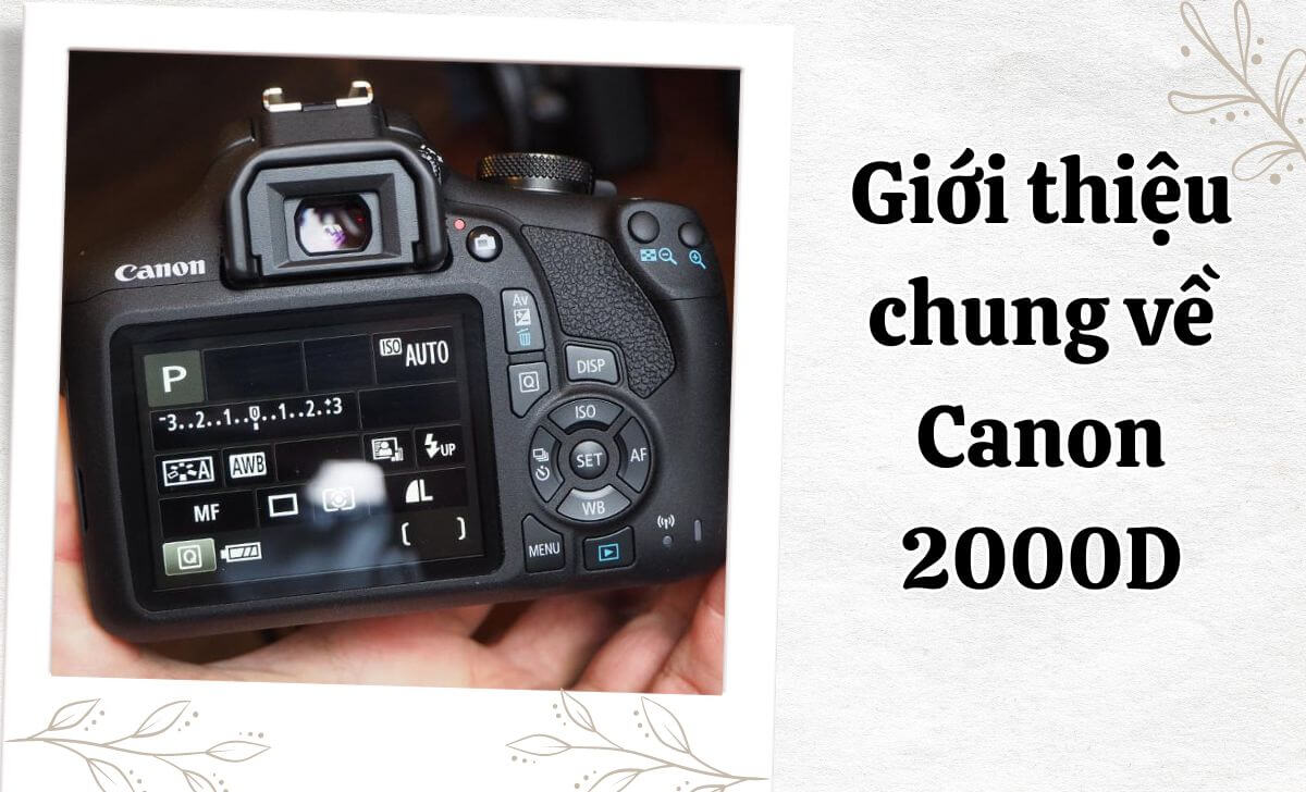 Một trong những mẫu máy ảnh DSLR phổ thông của Canon