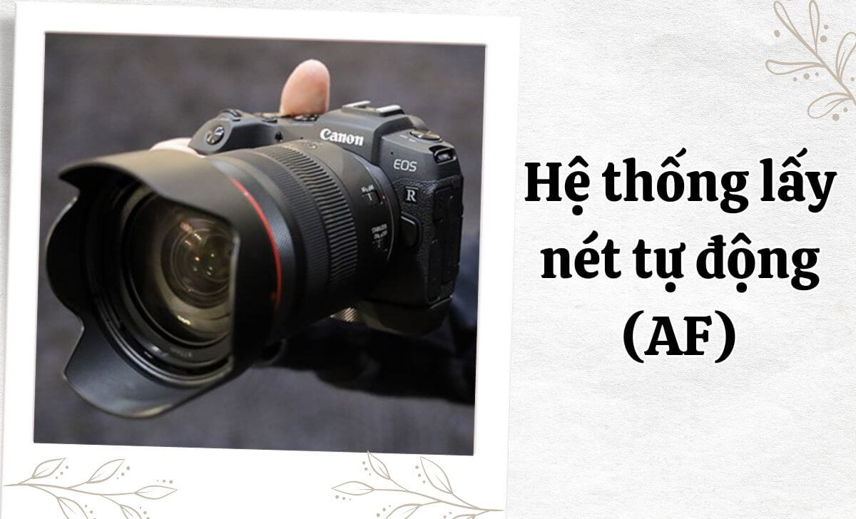 EOS RP được trang bị hệ thống lấy nét Dual Pixel CMOS AF với 4.779 điểm lấy nét có thể lựa chọn