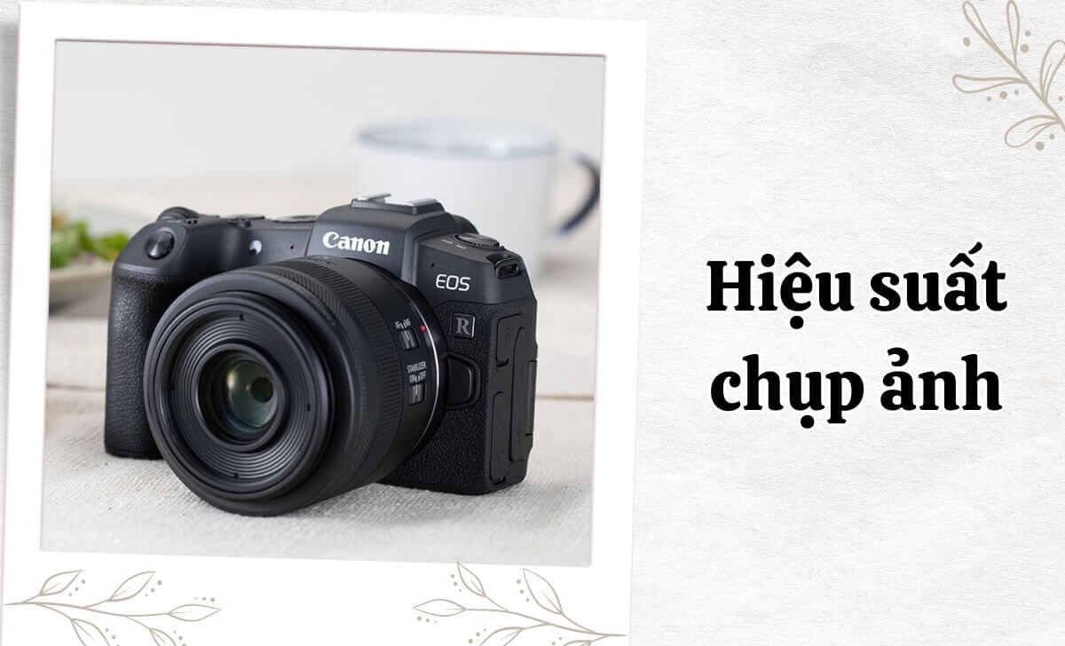 Canon EOS RP xử lý nhiễu khá tốt, hình ảnh vẫn giữ được chi tiết và độ sắc nét