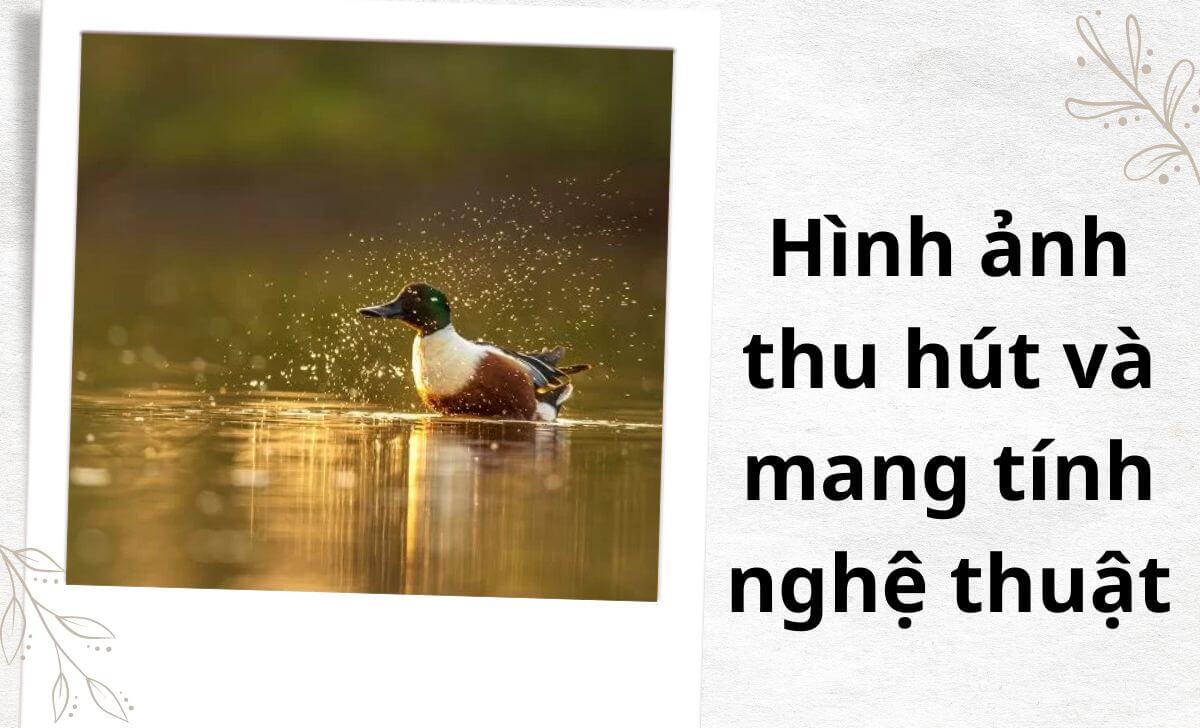 Không gian âm sẽ làm cho bức ảnh của bạn trở nên độc đáo