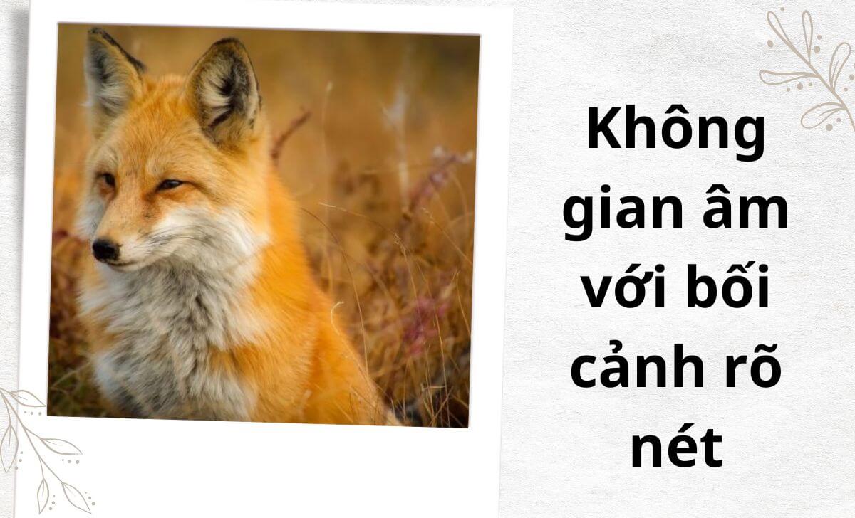 Không gian âm với bối cảnh rõ nét áp dụng khi chụp ở các địa điểm như bãi biển hay hồ nước