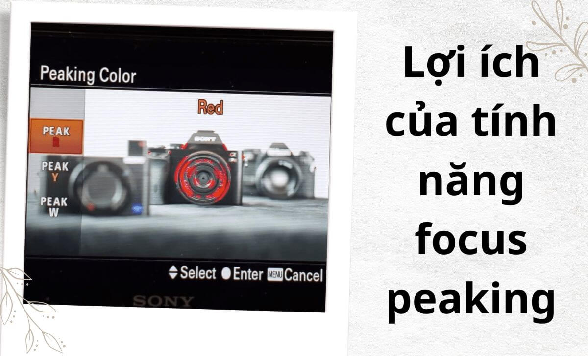 Focus peaking giúp nhiếp ảnh gia lấy nét thủ công nhanh hơn