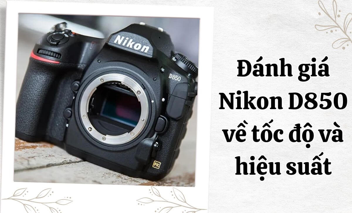 Một điểm mạnh khác của Nikon D850 là tốc độ chụp liên tiếp lên đến 7 khung hình/giây (fps)