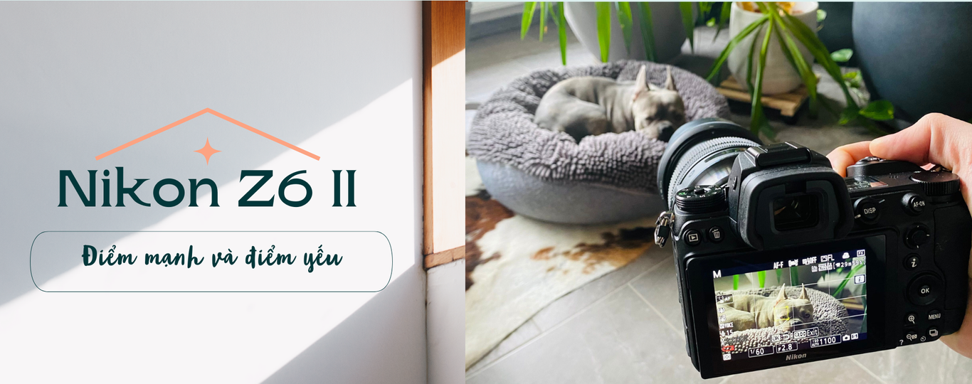 Nikon Z6 II  – Điểm mạnh và điểm yếu