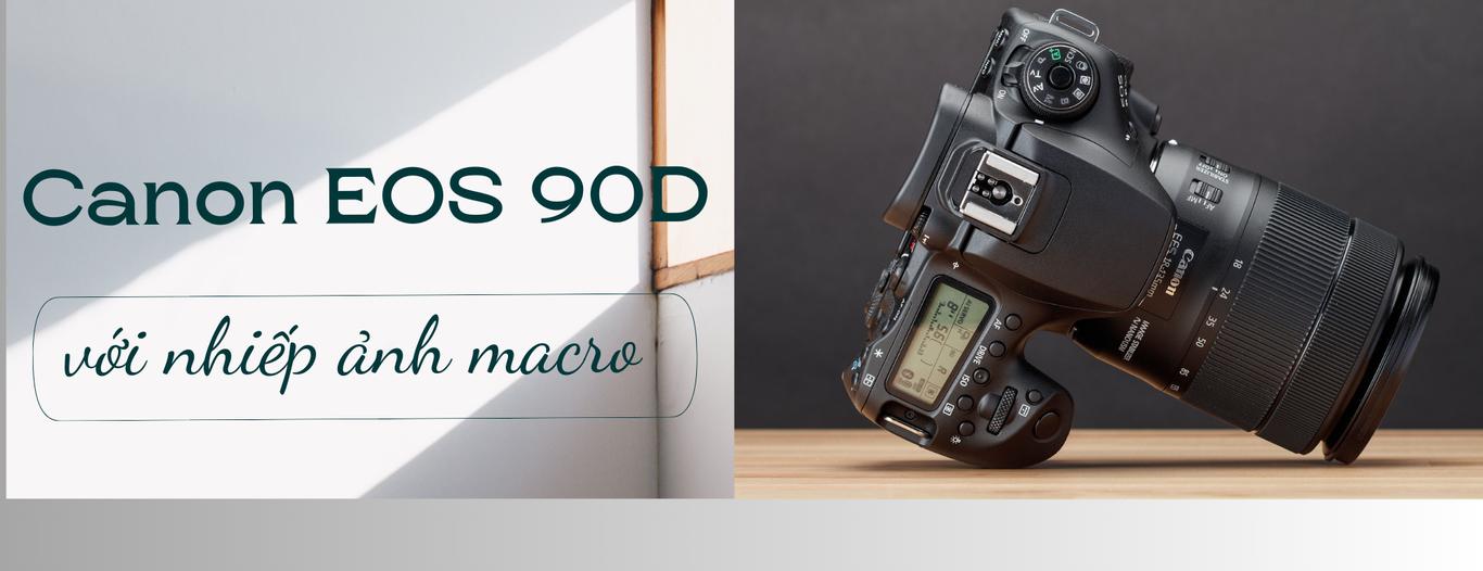 Canon EOS 90D với nhiếp ảnh macro
