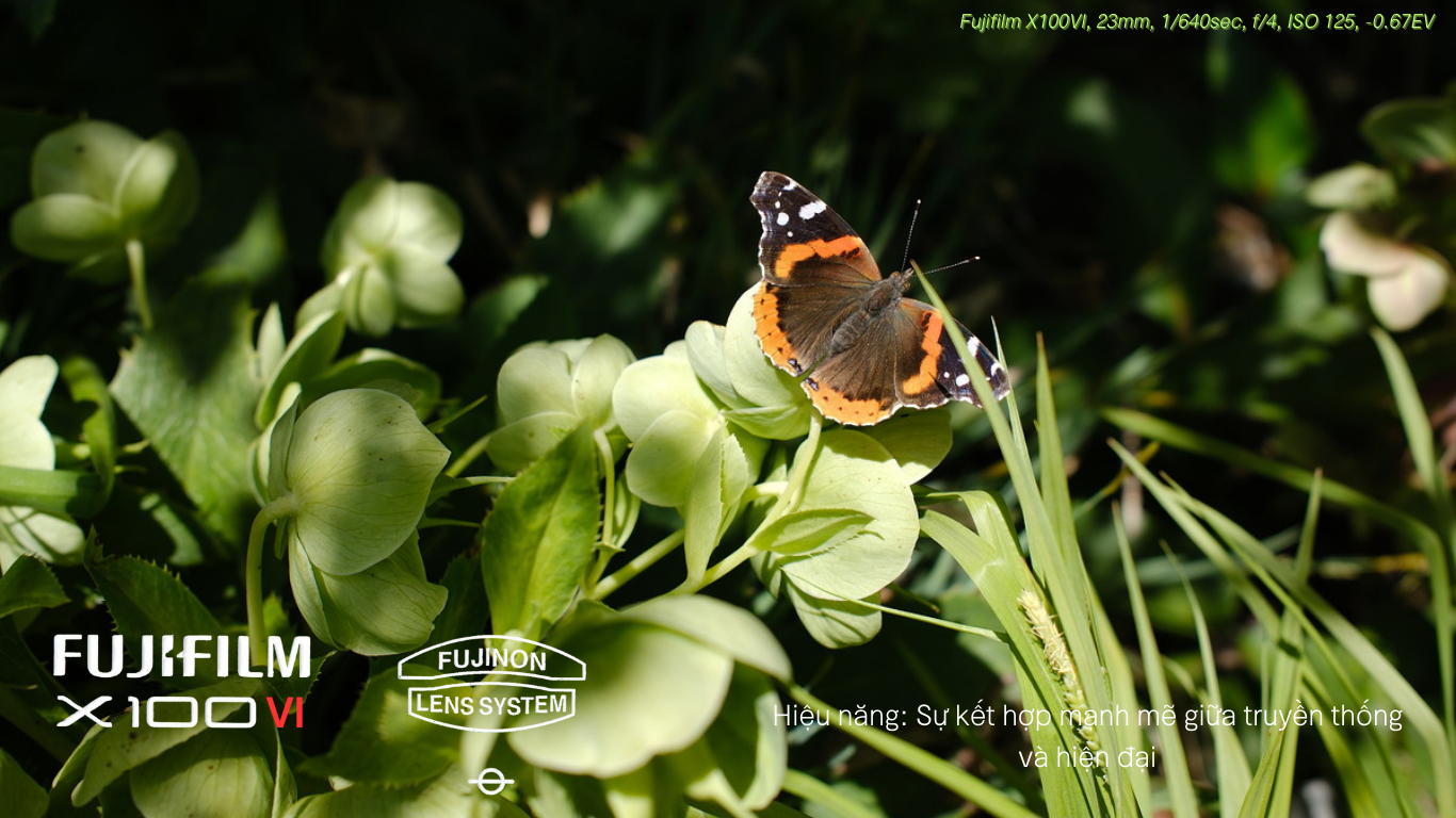 Fujifilm X100 Mark VI: Hiệu năng