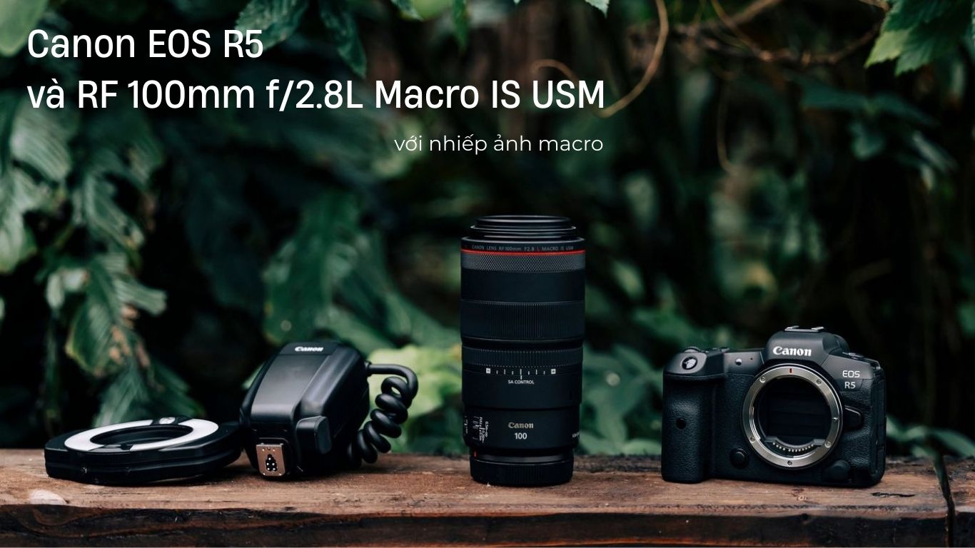 Canon EOS R5 và RF 100mm f/2.8L Macro IS USM với nhiếp ảnh macro