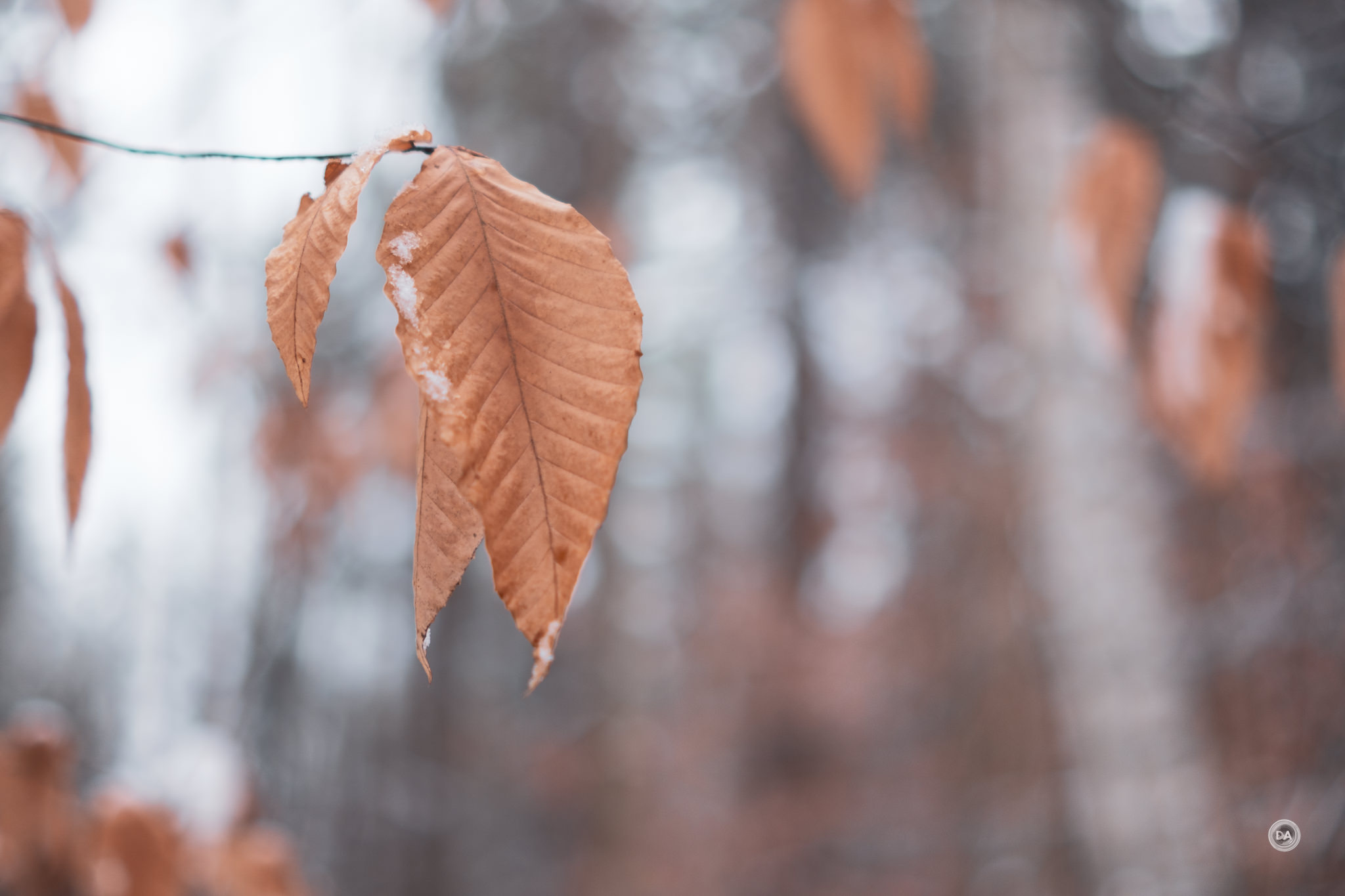 Sirui Sniper 33mm f/1.2 APS-C