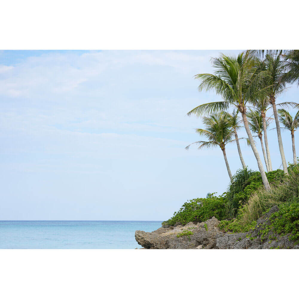 Sony FE 50-150mm f/2 GM