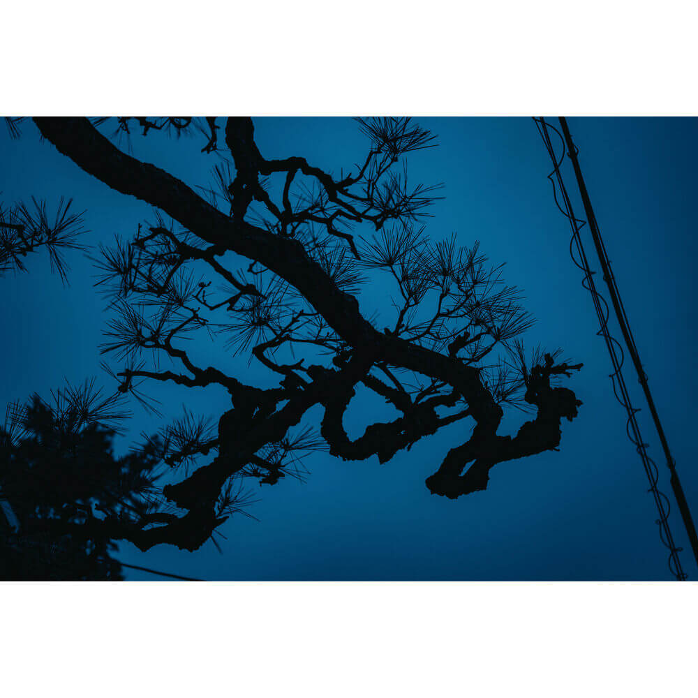 Sigma 17-40mm f/1.8 DC Art