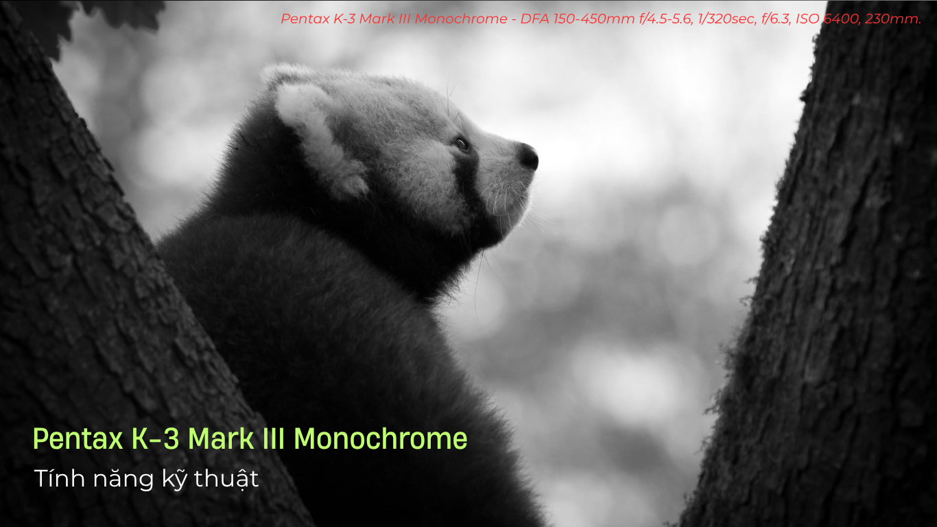 K-3 Mark III Monochrome