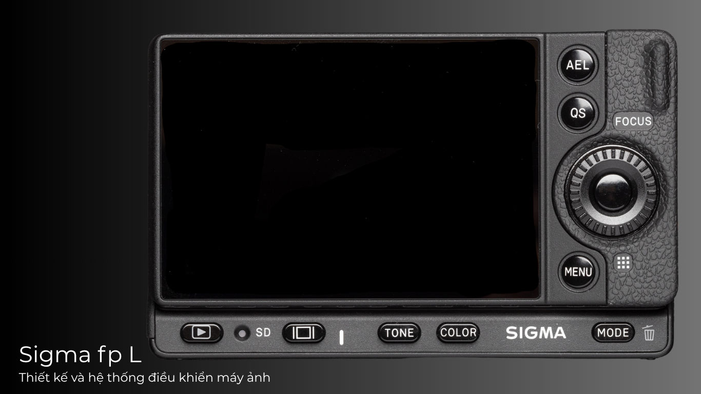 Sigma fp L