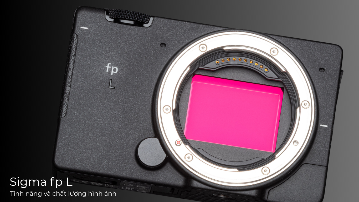 Sigma fp L