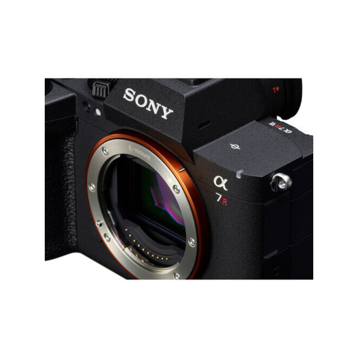 Máy ảnh Sony A7R VI ( A7R6 Mới ) - Ảnh 3