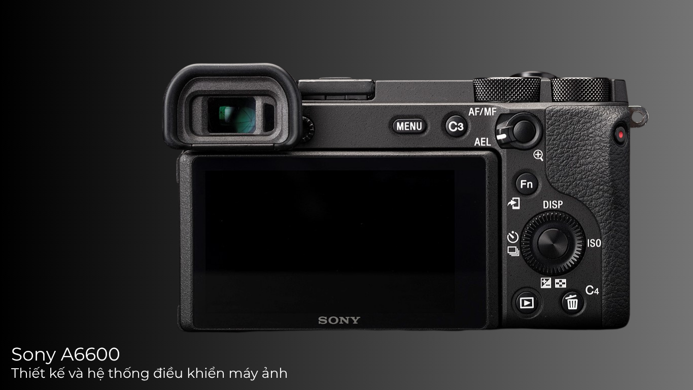 Sony A6600