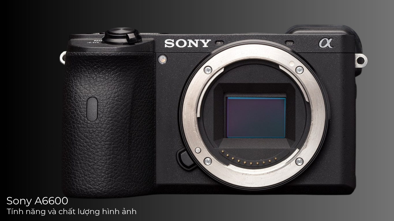 Sony A6600
