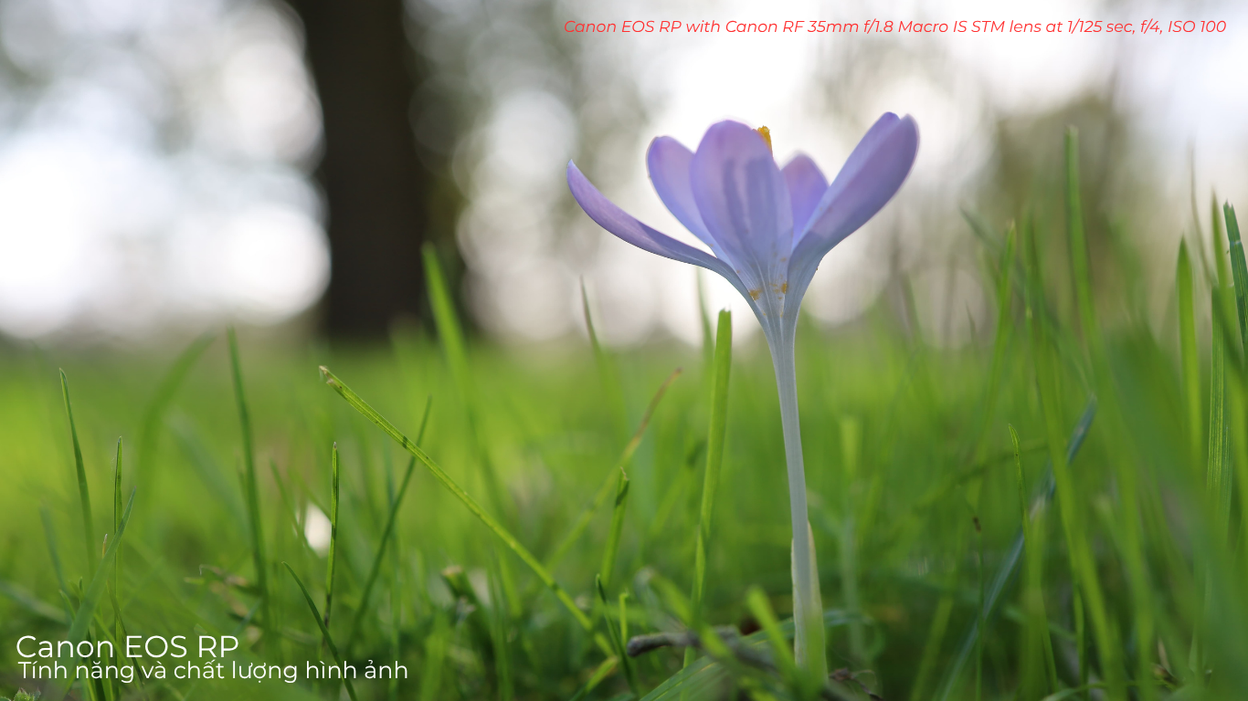 Canon EOS RP